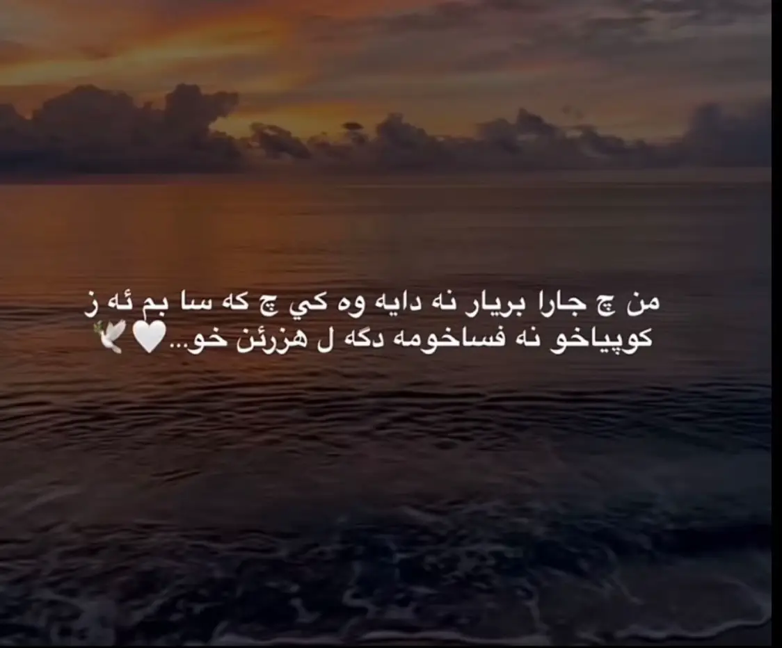 ♥️#explore #foryou #viral #fyp 