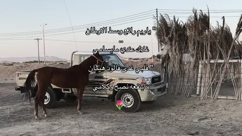 #explore #محسن_المطارد #ياريم_راتع_وسط_الاوطان #الخيل #شاص 
