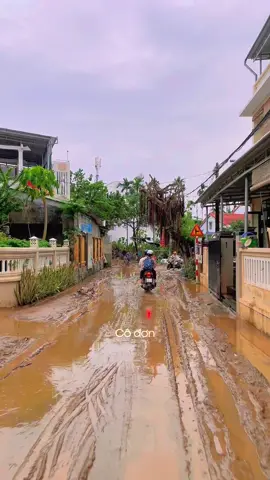 Bá cháy luôn#fyp #Home #HoianRetreat #trending #InnerPeace 