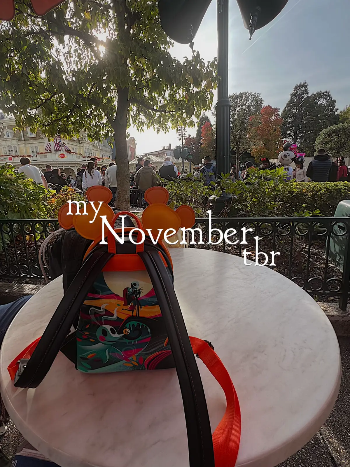 Here’s all the books I have in mind to read this month 😊 I also want to try to read what I didn’t finish in october & slowly get into more christmas/winter type reads as well! What’s on your Nov tbr? #fypbooks #BookTok #romantasybooks #bookish #novembertbr 