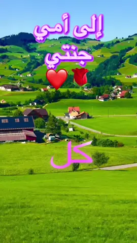 #CapCut #أمي #mama #الام #الحنان 