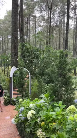 nemu cafe secantik ini di bandung 🥹🫶🏻           #strobilus #cafebandung #lembang #bandung #rekomendasicafe 