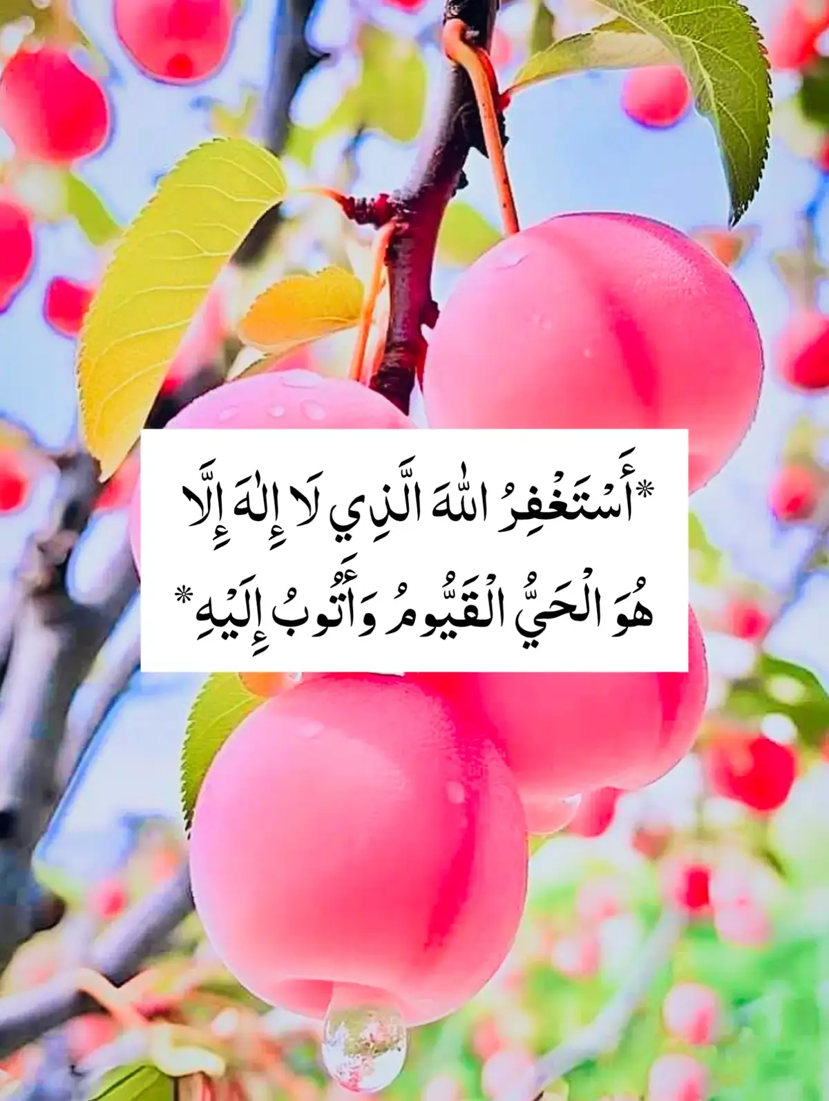 *أَسْتَغْفِرُ اللّٰهَ الَّذِي لَا إِلٰهَ إِلَّا هُوَ الْحَيُّ الْقَيُّومُ وَأَتُوبُ إِلَيْهِ*