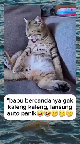 #ဟာသလေးများ🤣🤣🤣 