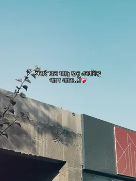 সবাই চলে যায়; শুধু একাকিত্ব পাশে থাকে..!!❤️‍🩹 ##foryou##fyp##sadcaptionvideo0##emotionalvideo#ক্যাপশন 