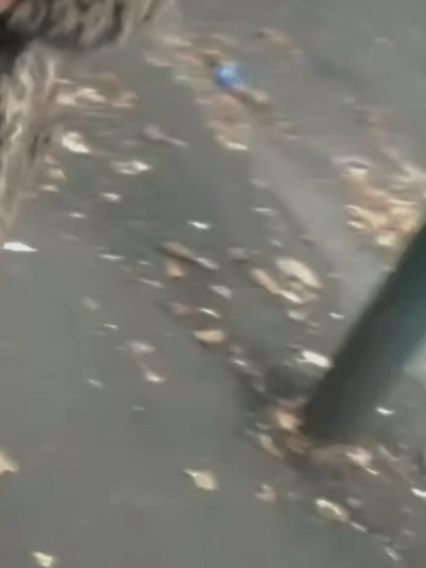 😂😂😂 #foryoupagе #romania #haipeforyou #viralvideos #fyyyyyppppppppppppppp 