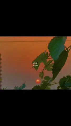 #CapCut #keşfet #yaprak#güneş #arpçavidyolar 