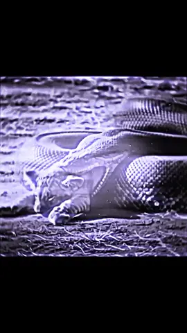 #ColdDaysWarmHearts #ChillyNights #FrozenFeelings #ColdMoments #WinterVibes 