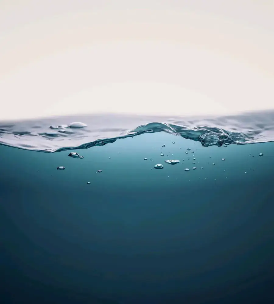 Raf Simons — одноимённый бренд бельгийского дизайнера Рафа Симонса. Выпускает одежду в молодёжном стиле с отсылками к бунтарской культуре, музыке и современному искусству. #swag #mm6 #rickowens #rafsimons #Balenciaga #fypシ #fypシ゚viral #fyp #