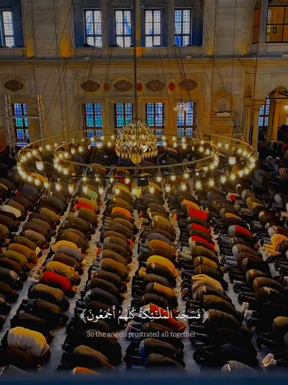 تلاوه جميله ومؤثر ل القارئ عبدالله احمد شعبان 🎧❤️‍🩹😴  #عبدالله_احمد_شعبان #fyp #quran #quran_alkarim #قران_كريم 