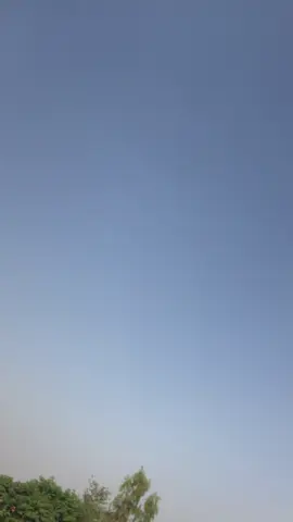 #fypppppppppppppp #for you Page #virl #video#