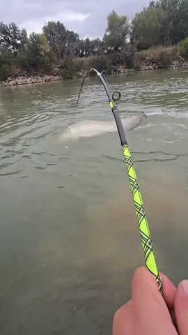 🎣🤩 #fishing #pescuit #nature #relax 