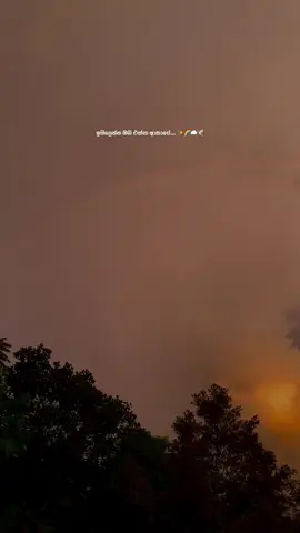 ✨🌈☁️🕊️  #naturevibes #evening #travelwithme #skyvibes #sunsetlover #wanderlust #srilankavibes 🇱🇰 #like #millionviews  #beautifulplaces #chillmoment #oceanview #peacefulvibes #nushizvibe 