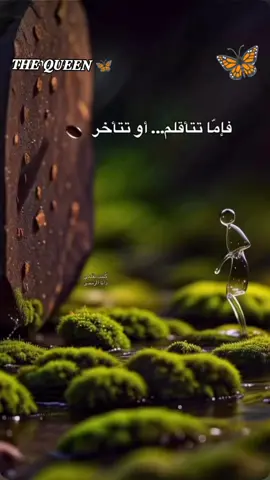 #التأقلم_ليس_ضعفاً_بل_فن_البقاء.... ♡