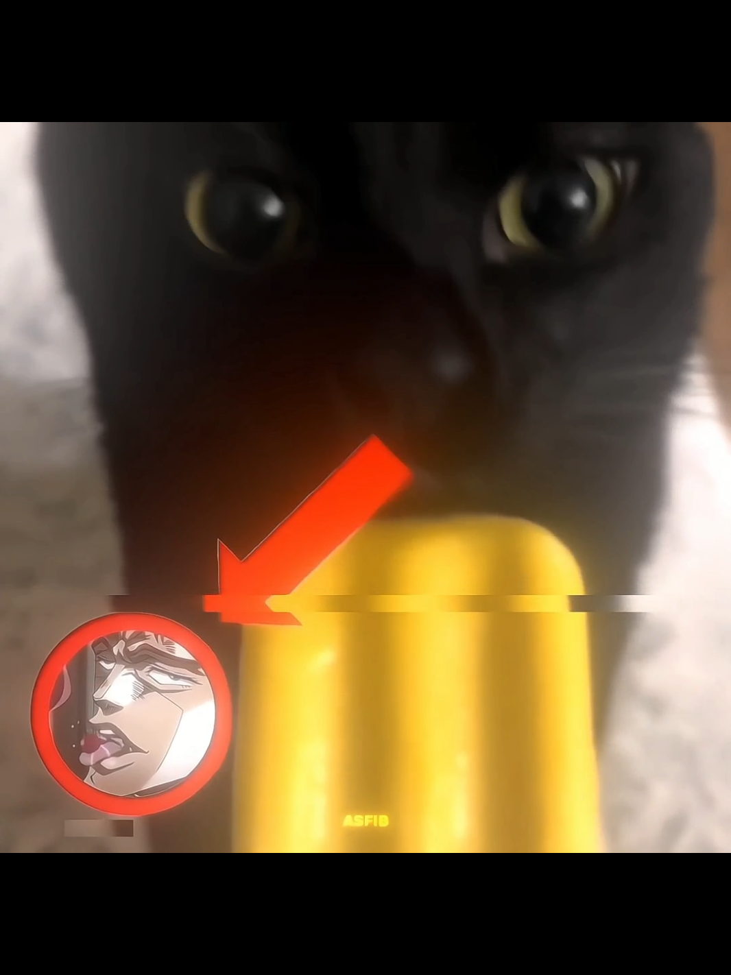 Kakyoin//Edit🔥 #Kakyoin #jojo #JOJO #jjba #jojosbizarreadventure #jojosbizarreadventureedit #jojoedit #edit #fyp #fyp #fyp 