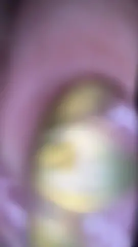 Your fav fairies are here #tinkerbell #silvermist 