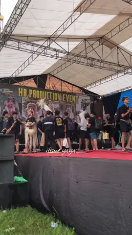 ustad pirman mode on @BOY REAL. #pentasgwsm #viraltiktok #firmanboy #fyppppppppppppppppppppppp #isalkusumawara 