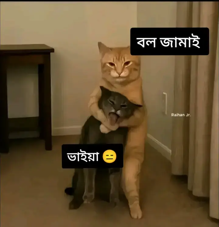 যারা যারা আমার বিয়ে খাওয়ার আসায় বসে আছোত  তুগো কইতেছি আমি কিন্তু paliye biye kormo 😑