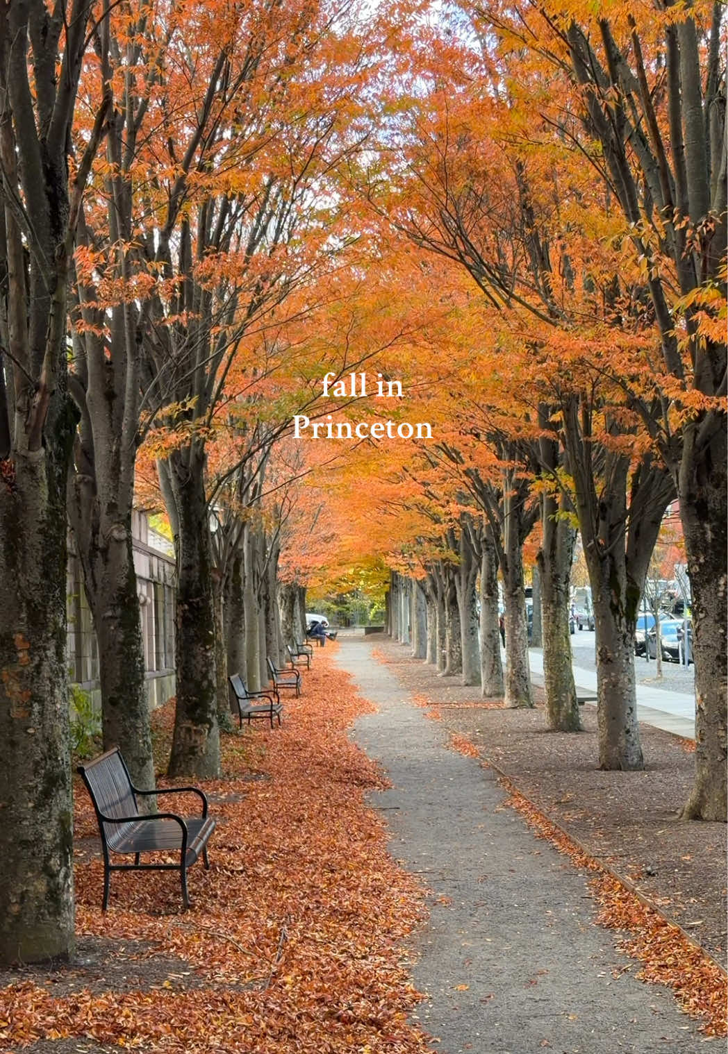 who needs Europe when you have Princeton #nj #fall #travel