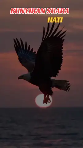 #bunyikansuarahati💞🎼🎼🎧 #nostalgiamusic #tembangkenangan 