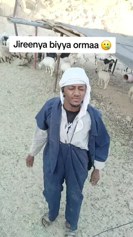 #oromotiktok❤️💚❤️ethiopiantiktok #oromotiktok 