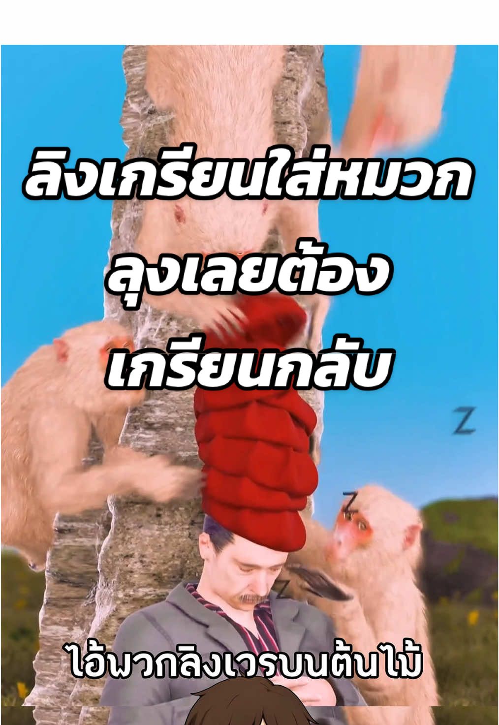 ลิงเกรียนใส่หมวก ลุงเลยต้องเกรียนกลับ😂 #สาระความรู้ #ความรู้รอบตัว #เรื่องจริง #เรื่องเล่า #ฟีดดดシ  Cr. Zack D Flims