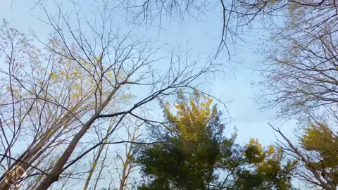 Xasan aadan Samatar | 