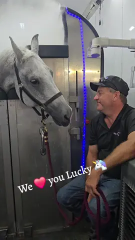 @cassdawson80  We love our clients!!! Lucky is surely one of the special ones!!! He literally gave a big ole lick up  the cheek - I missed that part 🤣
