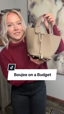 if you love luxury bags but not the price point … this bag is for you ✨