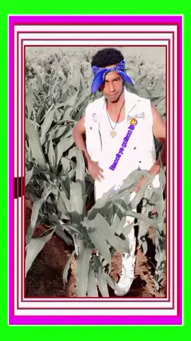 #capcut #ormootiktok❤💚❤🐅🐅 