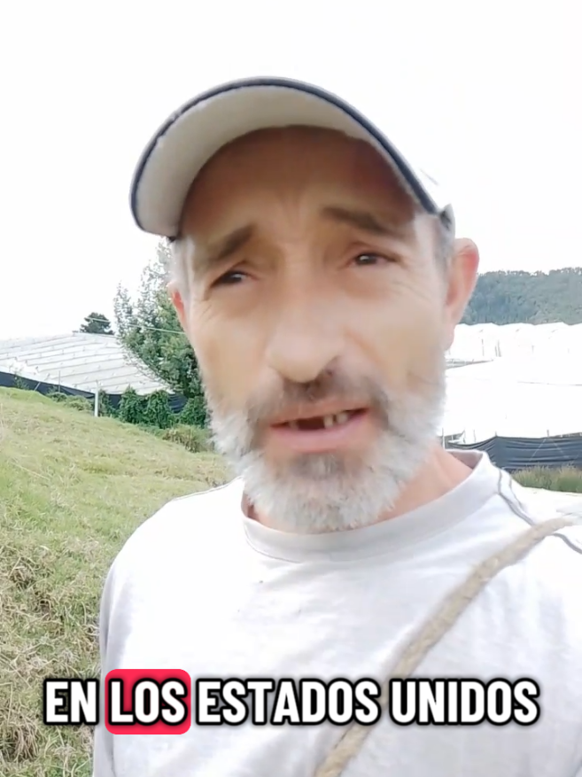 ahí está la trampa. #uribelibreescolombialibre #Fuerapetro #somosmillones #unidossomosmas 