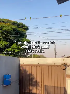 entek resik #xybca #bismillahfyp #4u #fyp 