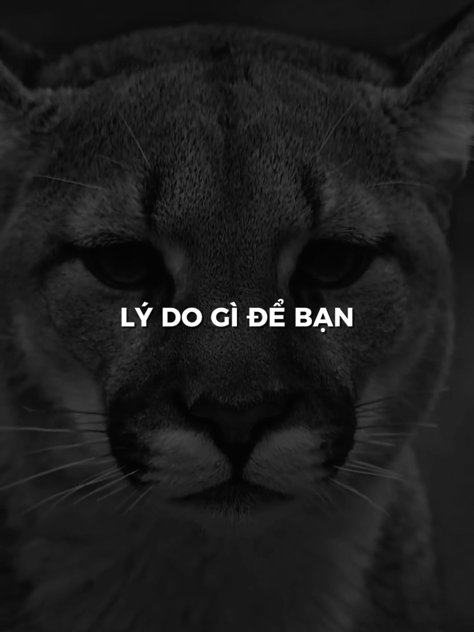 Suy nghĩ ở dưới đáy? @Dan Foolish #podcastdanfoolish #danfoolish #fandanfoolish #noluc #kientri 2