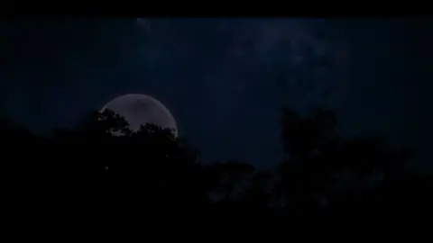 তুমি চাঁদের জোছনা নও🥰🌹 #foryou #trendingvideo #1Million #viral_video 