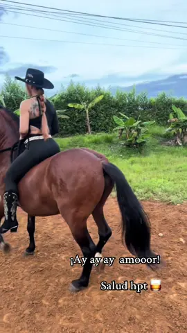 #caballo #amazonas #caballoscolombianos #caballoscolombianos #caballosbailadores 