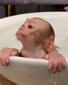 Marca sua amig@ tomando banho 🤣 #fyp #fypシ゚viral #meme #amigas 