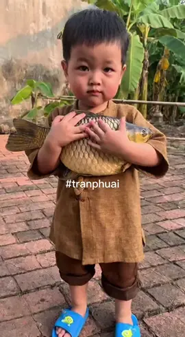 Không coi trọng thì giải tán #videoai #ai #haihuoc 