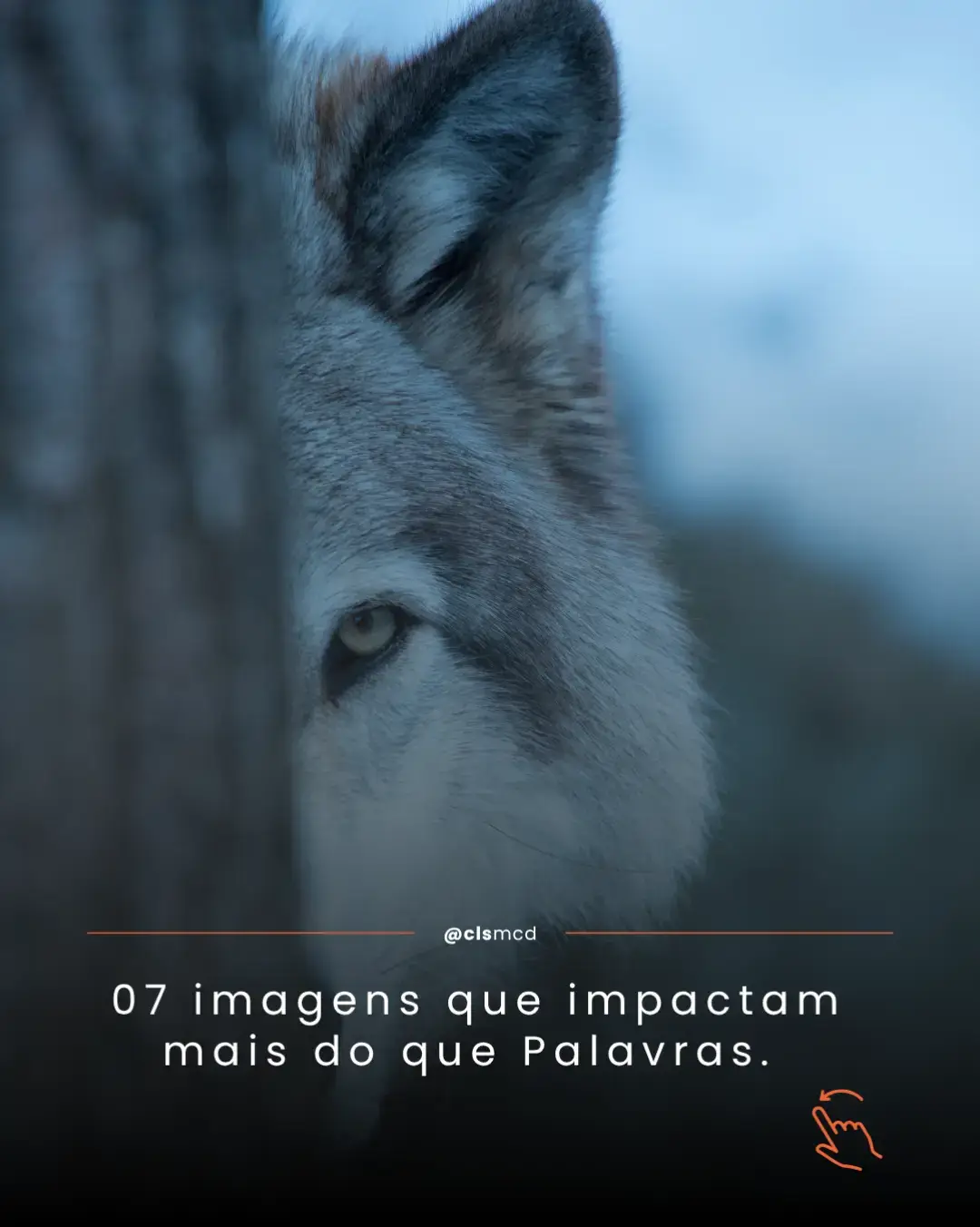 07 imagens  que carregam verdades que muitas vezes ignoramos que são cruas e reais. 