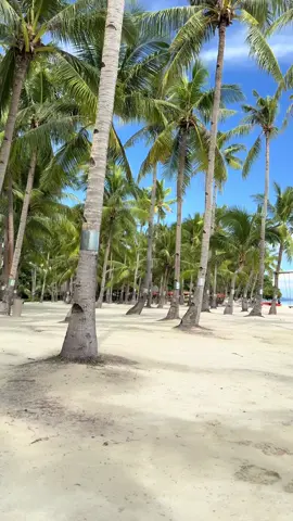 Ang ganda mo Bohol🌴🏖️  #Bohol #oceanicaresortpanglaobohol 