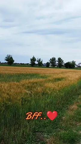 #dog #friendship #doglife #fyp 