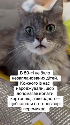 Народили #гуморукраїна #філософіяжиття #думкавголос #кітблогер #минуле 