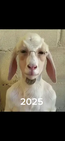 #creatorsearchinsights 