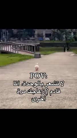 جاي أزعجكم🏃🏻🏃🏻. #اكسبلور #شعر #غزل #حزن #مساء_الخير 