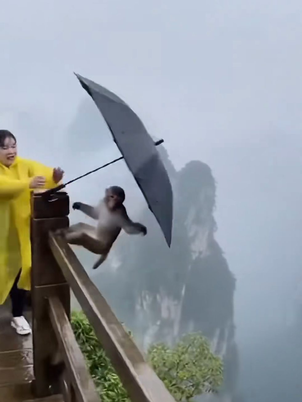 When life gives you an umbrella — just fly 🐒 #Funny #AIVideo #MonkeyVibes #ViralEdit #ForYouPage