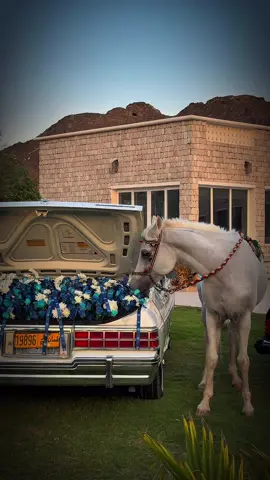 فخامة استراحة البيت الحجري بنزوى 😊😍