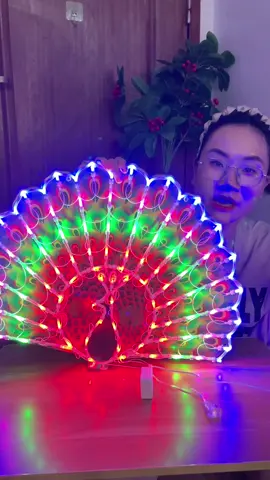 đèn led #havuivereview98 #denled #denledtrangtri 