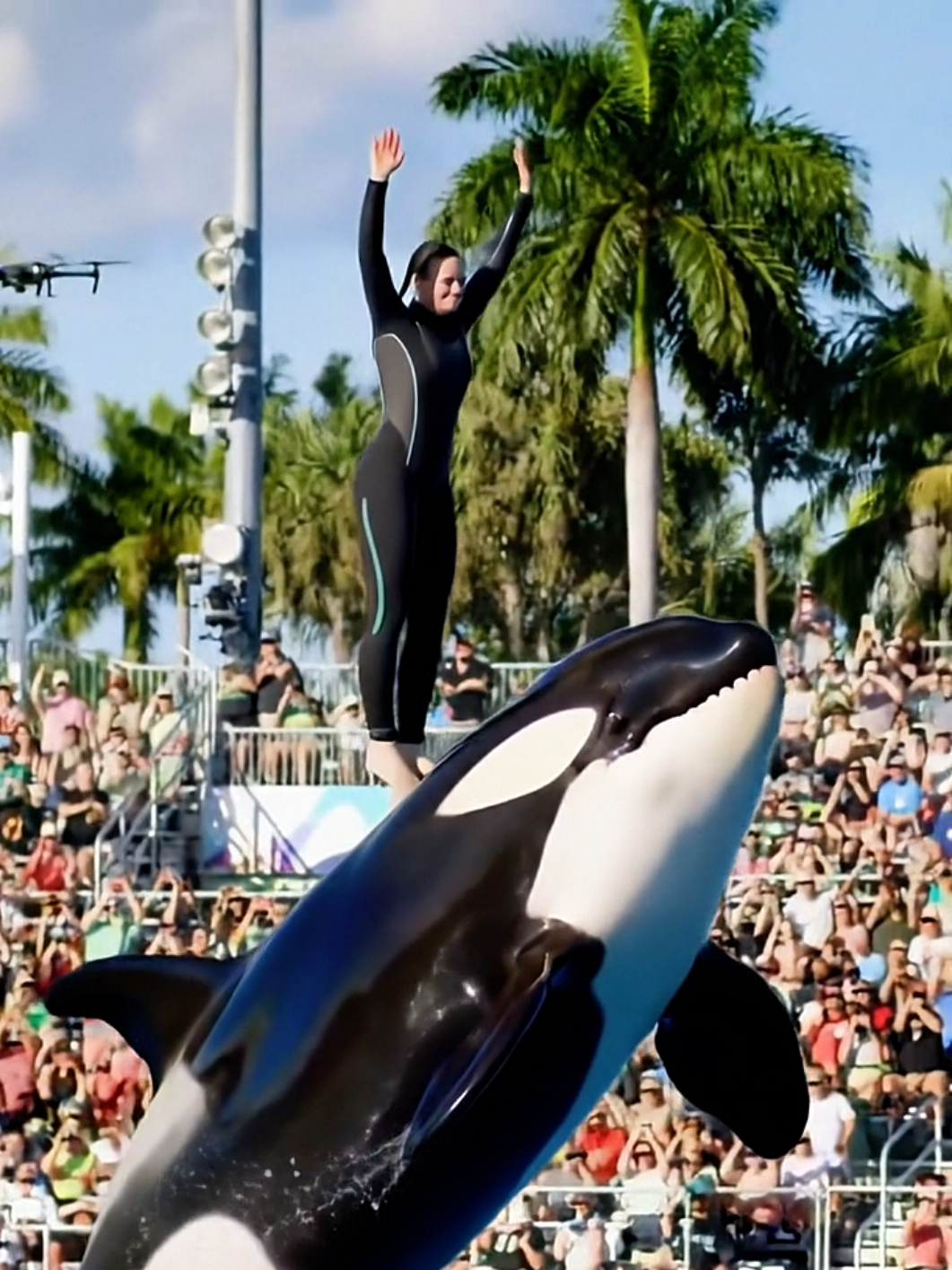 When Ocean and Crowd Unite 🌅💦 A Moment to Remember”#Jessica #orca #oceanshow #dolphinshow #fyp 