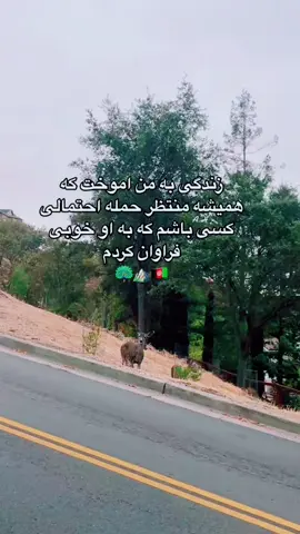 #onthisday #افغانستان #کوهنوردعایشه #بهترین_تیک_تاکر_های_افغانستان #تاجک__اوزبگ__پشتون__هزاره__ترکمن  