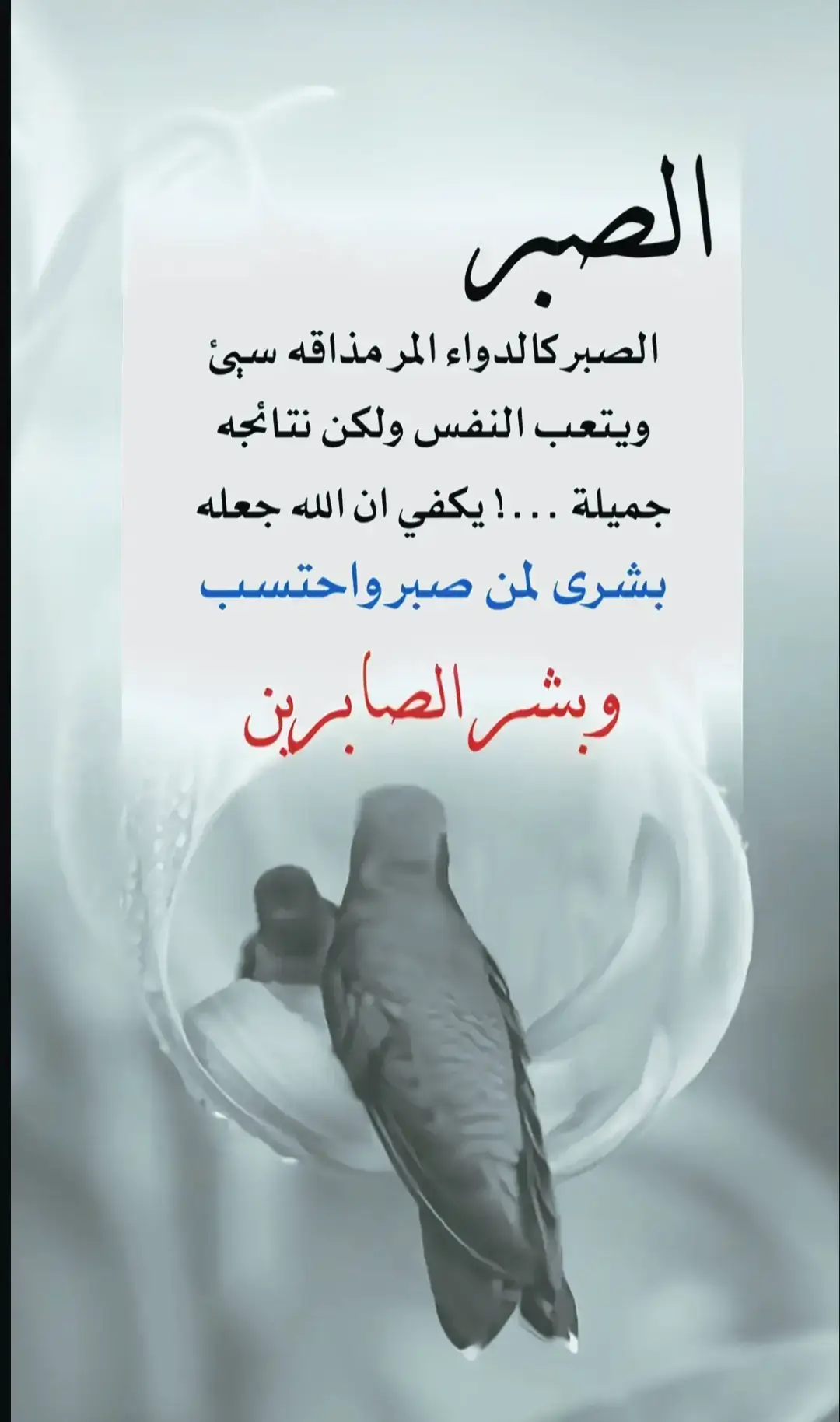 #🤲🤲🕋🕋🤲🤲 