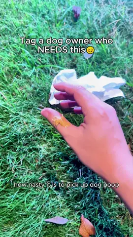 This tool changed my dog walks 😳🚶‍♀️ #DogWalking #PetTools #DogMom #LifeChanging #TikTokFinds